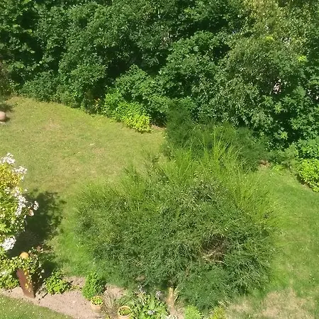 Bella Vista